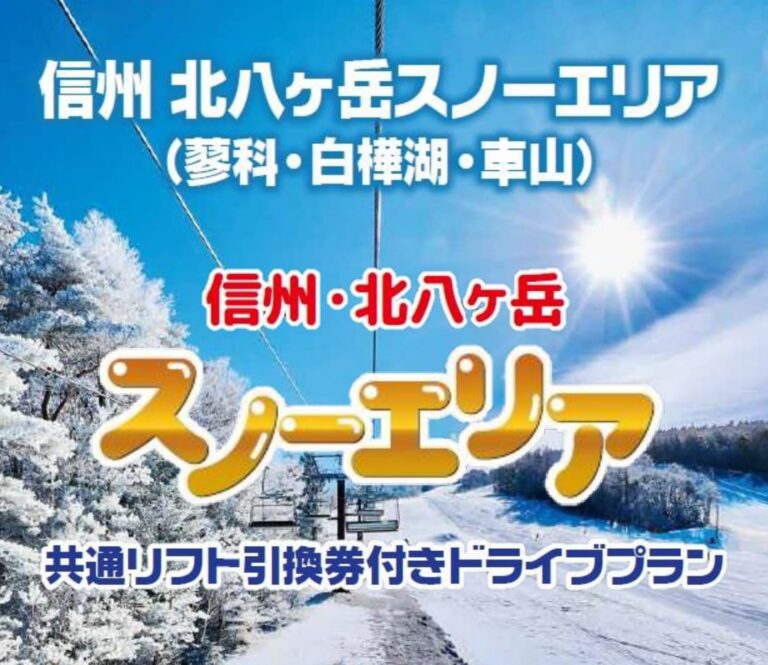 ブランシュたかやまスキーリゾート 無料特別優待券2枚 - 割引券